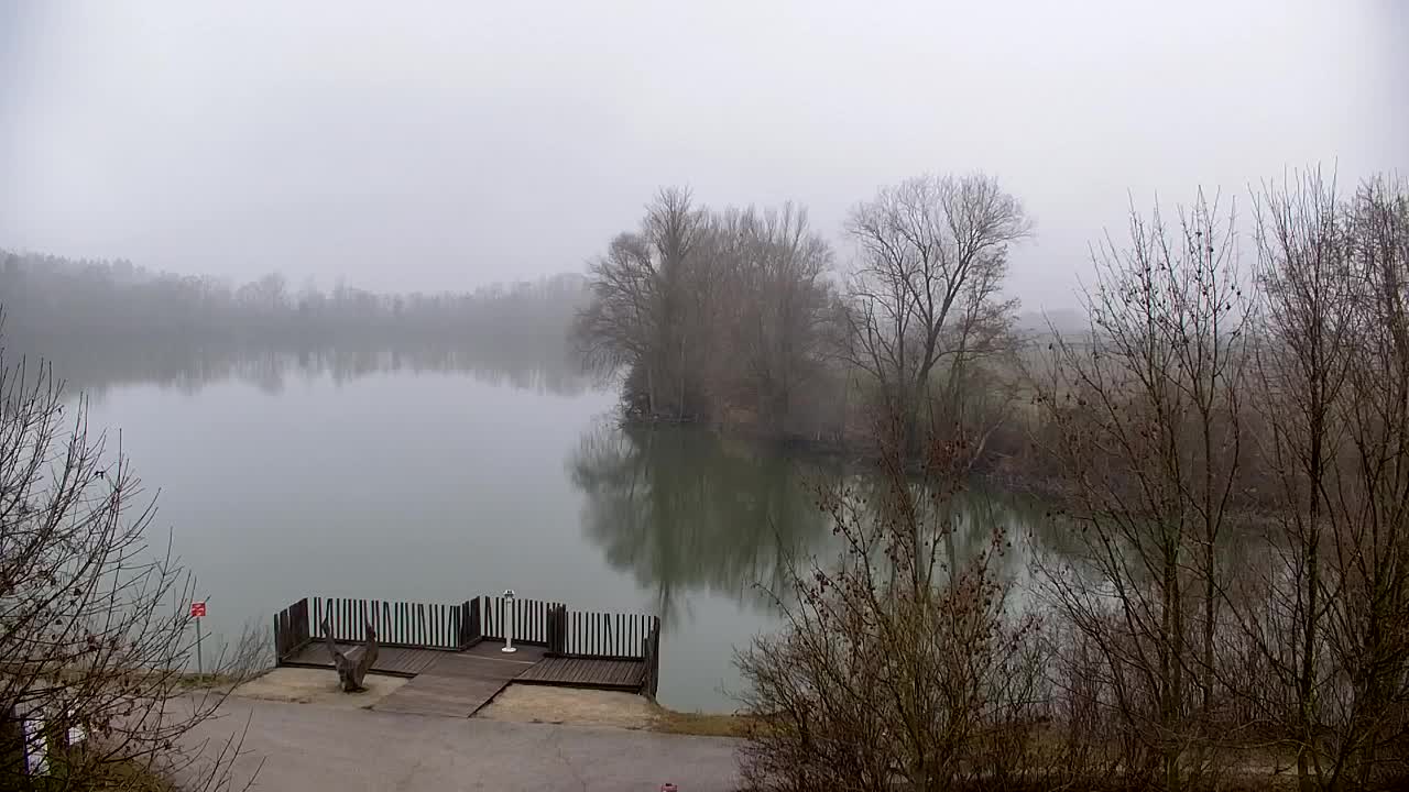 Spletna kamera Ribnik Vrbje – Žalec