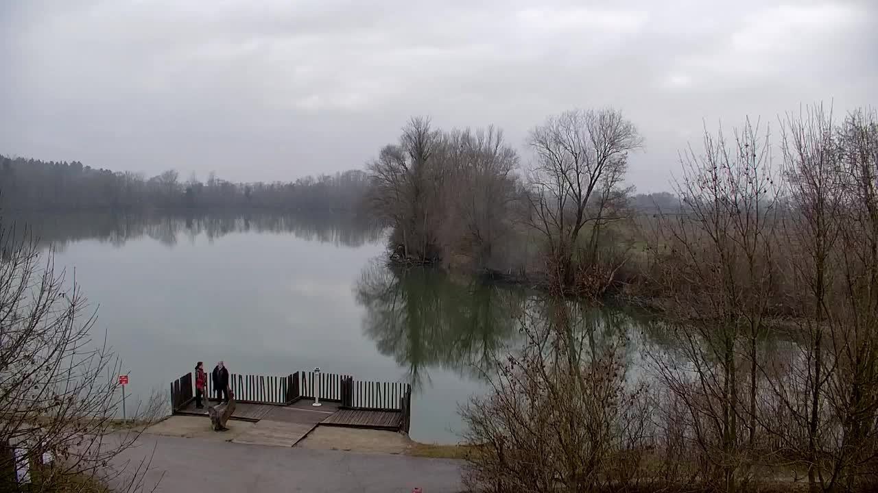 Webcam Ribnik Vrbje – Žalec