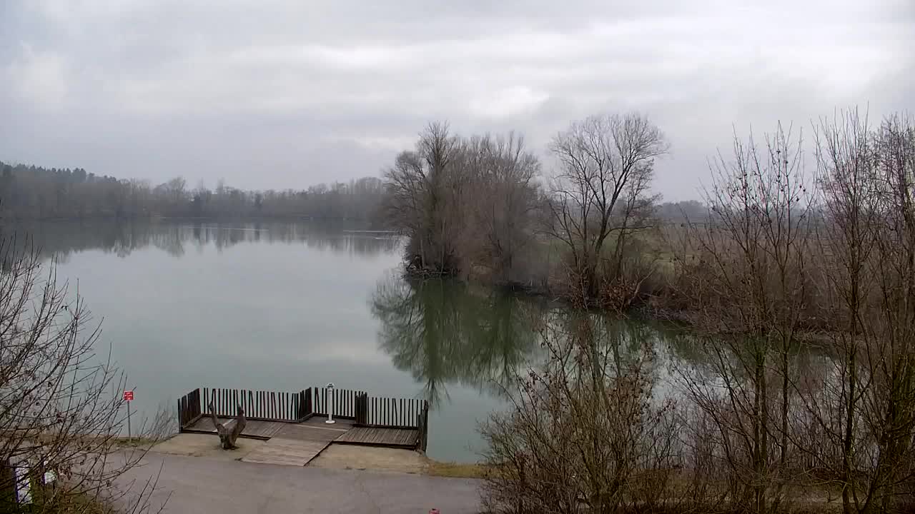 Spletna kamera Ribnik Vrbje – Žalec