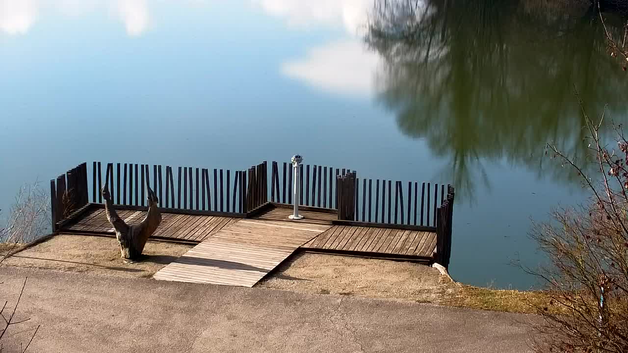 Web kamera Ribnik Vrbje – Žalec