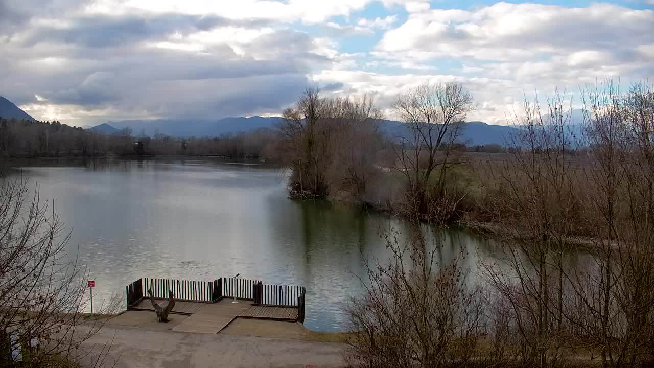 Webcam Ribnik Vrbje – Žalec