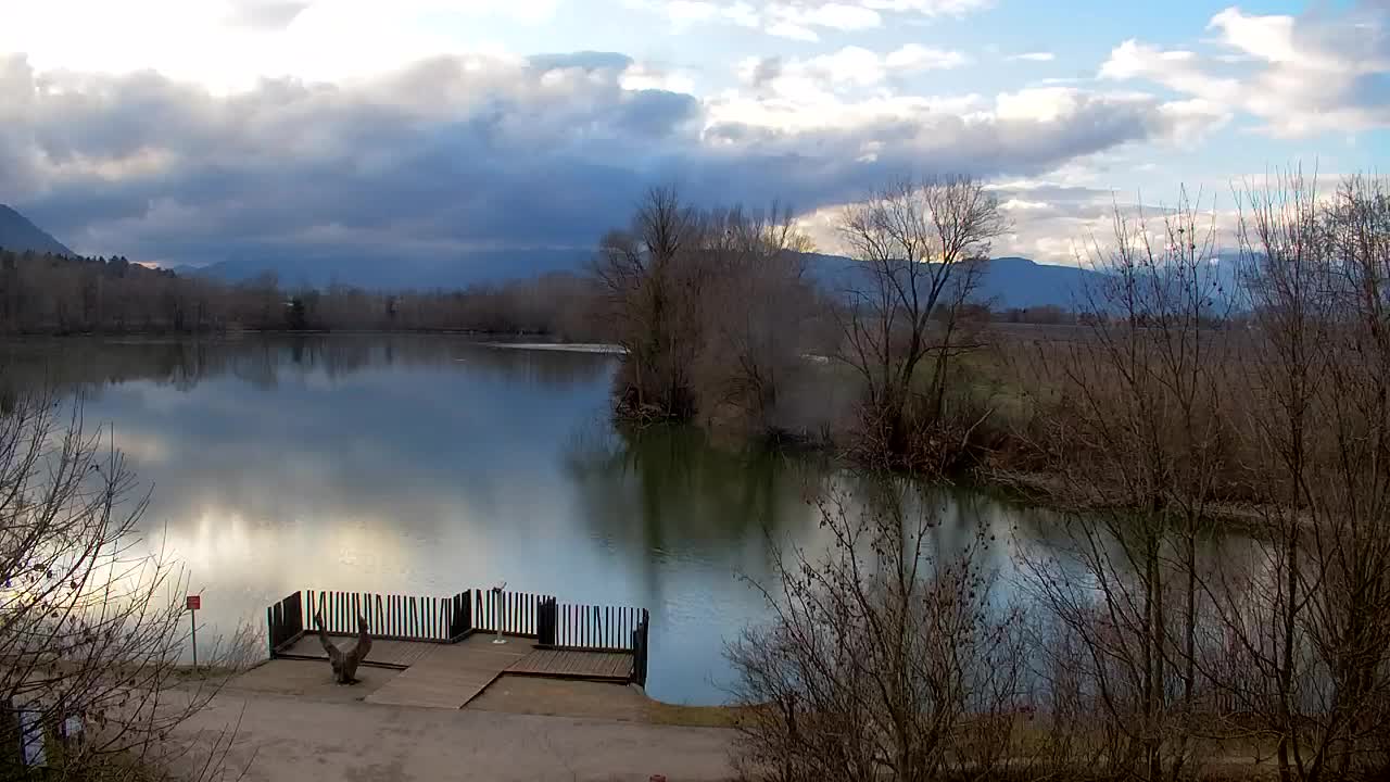 Webcam Ribnik Vrbje – Žalec