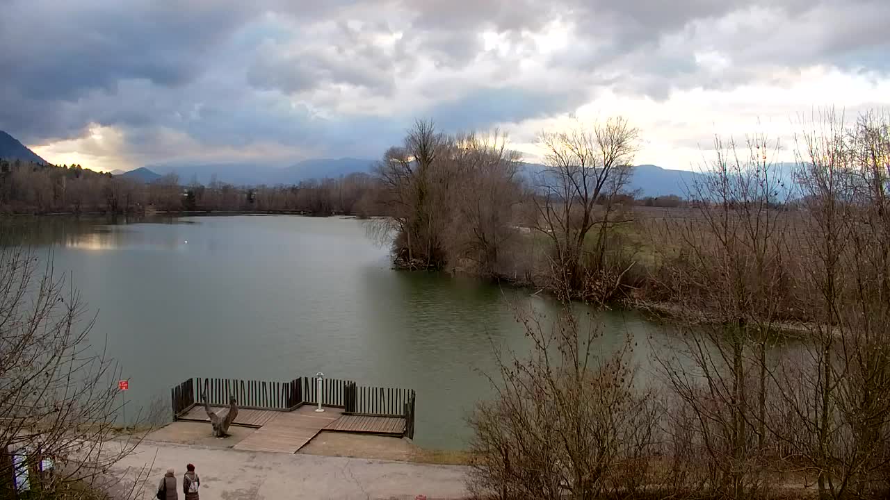 Webcam Ribnik Vrbje – Žalec