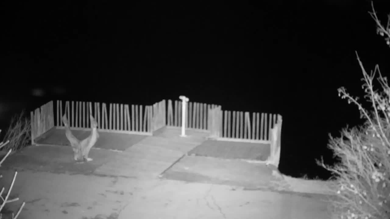 Webcam Ribnik Vrbje – Žalec