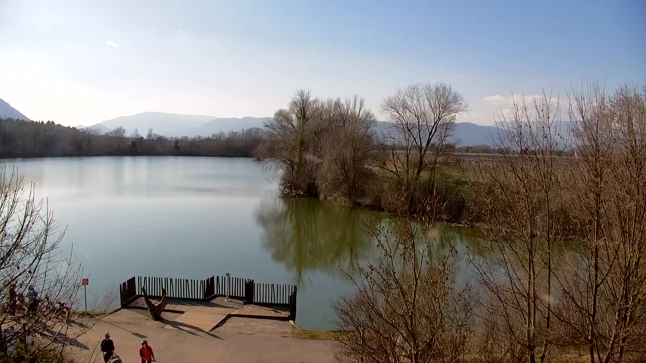 Webcam Ribnik Vrbje – Žalec