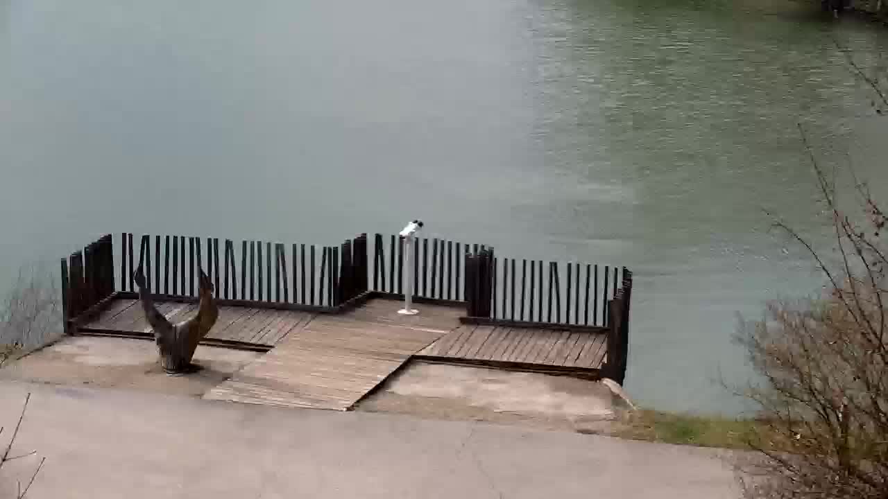 Webcam Ribnik Vrbje – Žalec