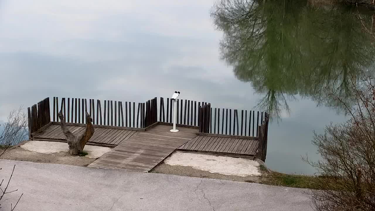 Webcam Ribnik Vrbje – Žalec