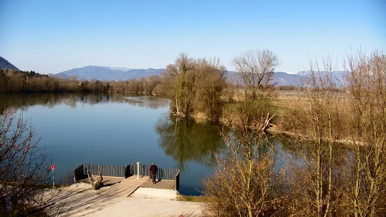 Webcam Ribnik Vrbje – Žalec