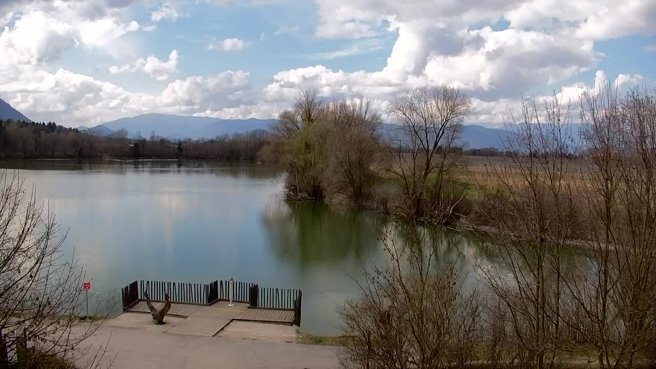 Webcam Ribnik Vrbje – Žalec