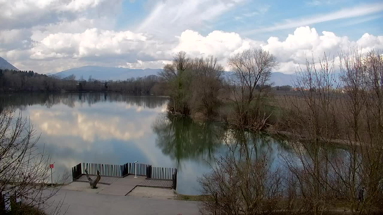 Webcam Ribnik Vrbje – Žalec