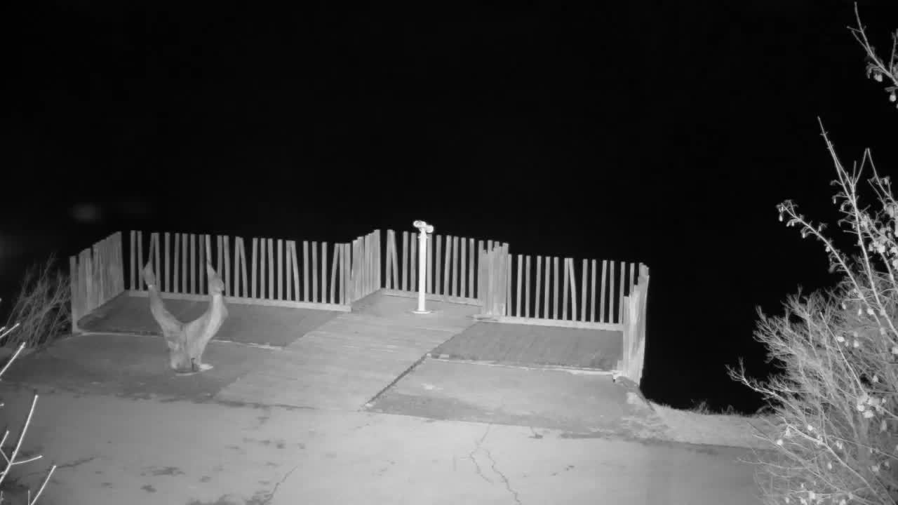 Webcam Ribnik Vrbje – Žalec