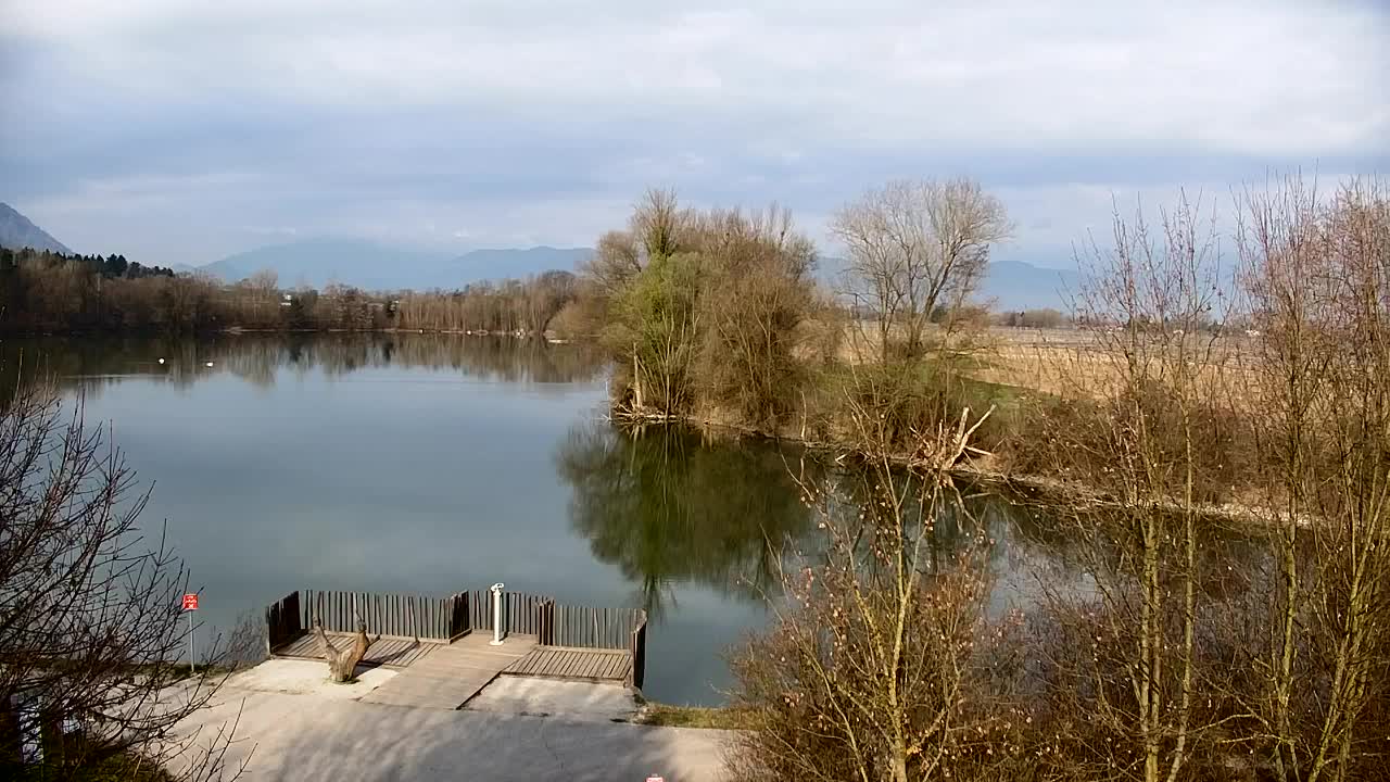 Spletna kamera Ribnik Vrbje – Žalec