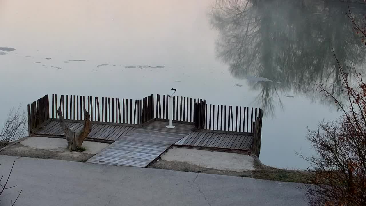 Spletna kamera Ribnik Vrbje – Žalec