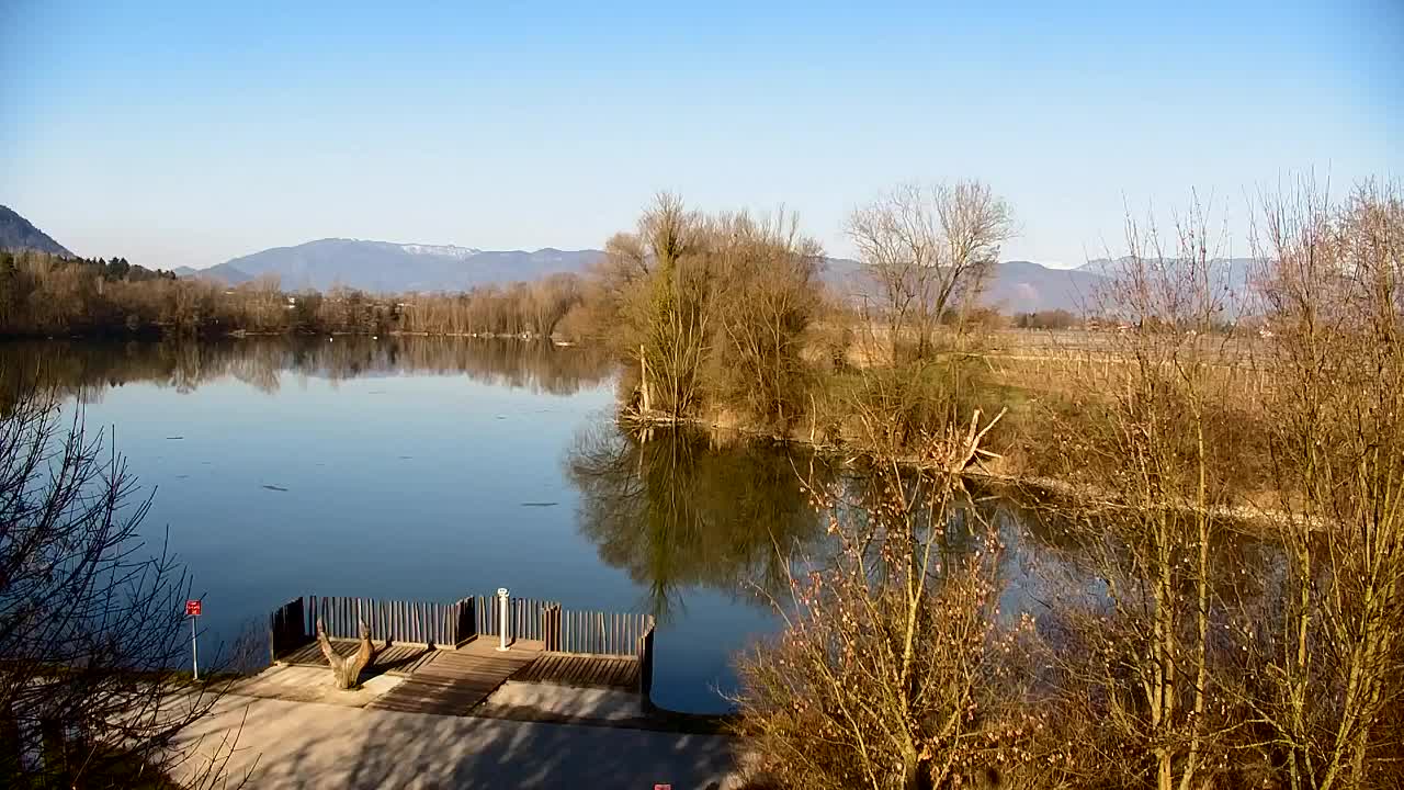 Webcam Ribnik Vrbje – Žalec