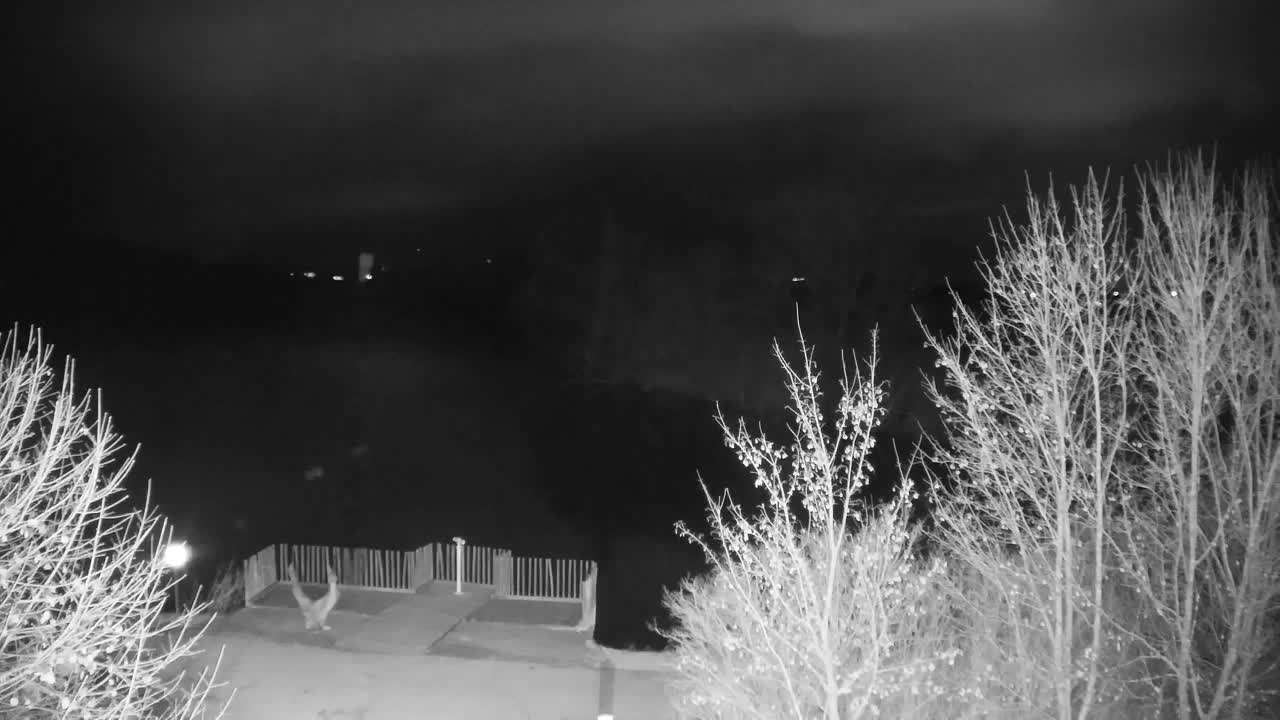 Webcam Ribnik Vrbje – Žalec