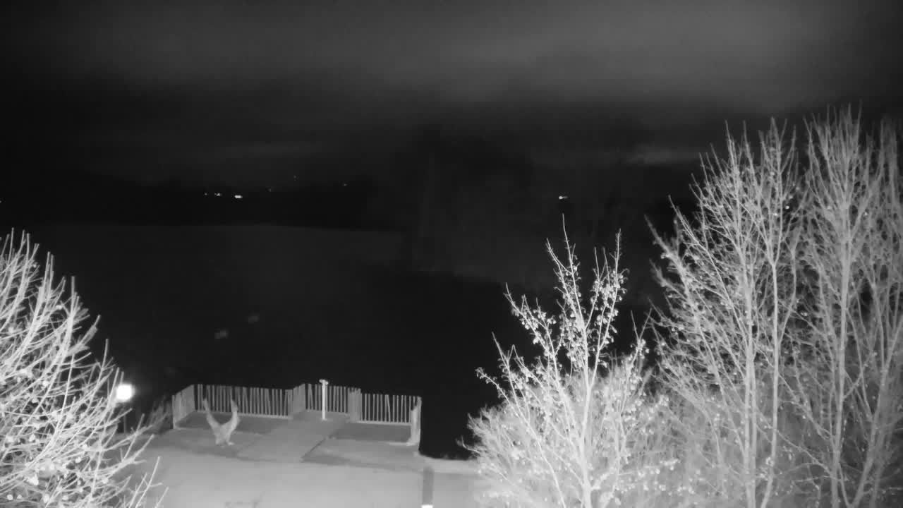 Spletna kamera Ribnik Vrbje – Žalec