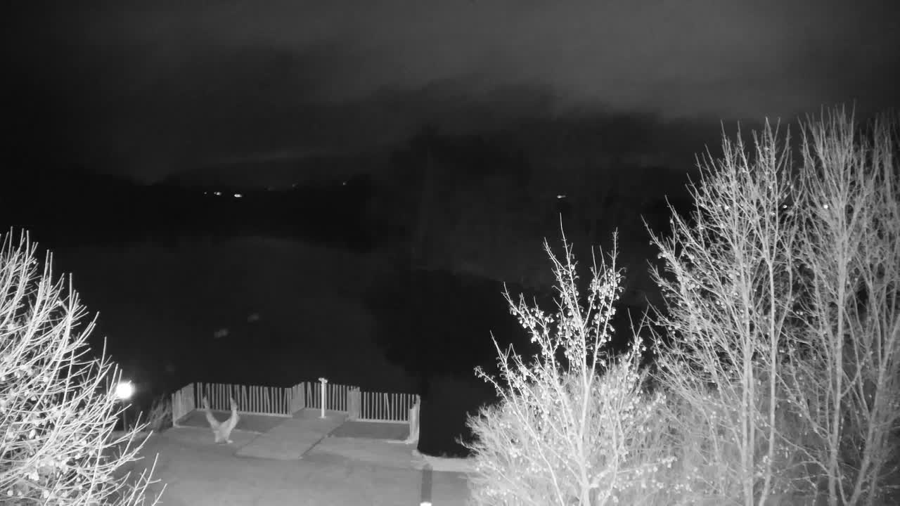 Web kamera Ribnik Vrbje – Žalec