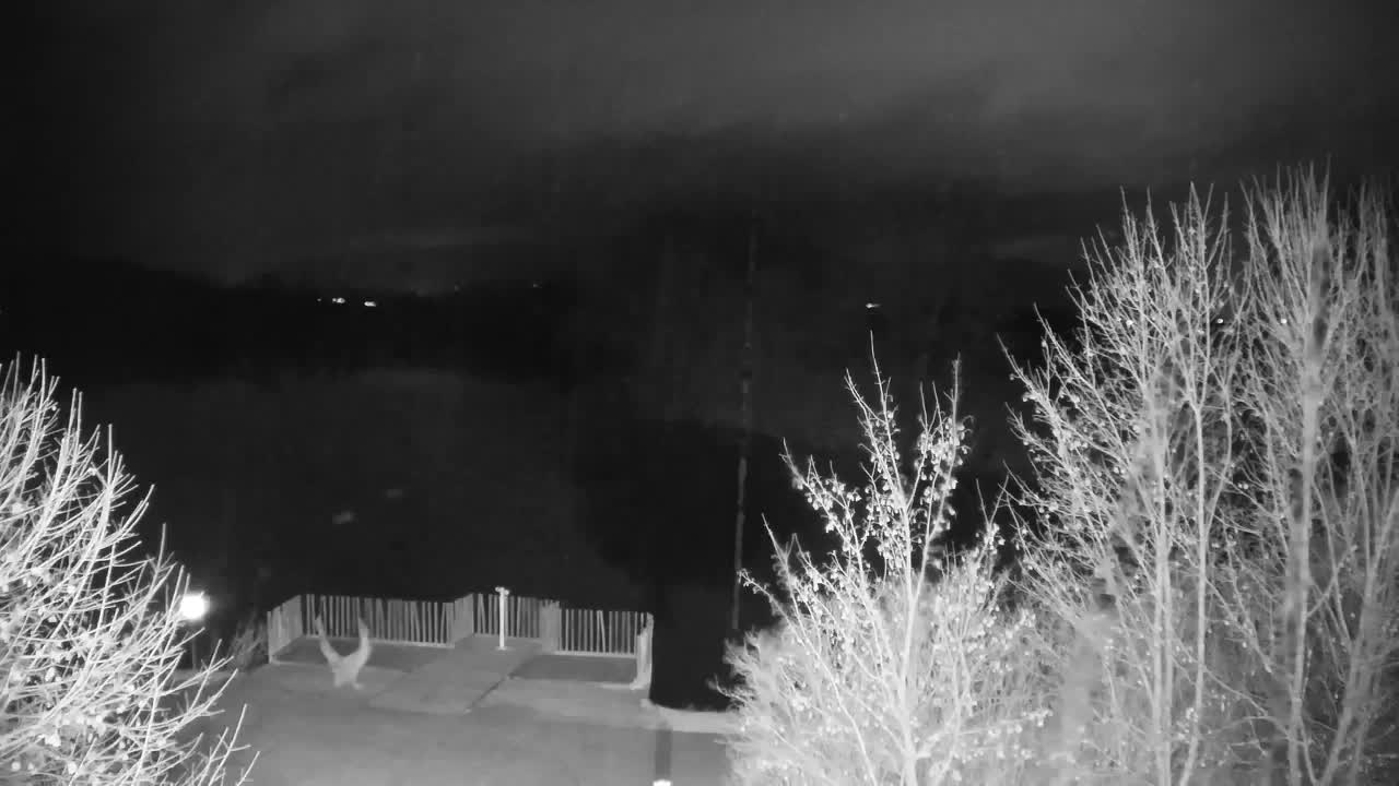 Web kamera Ribnik Vrbje – Žalec