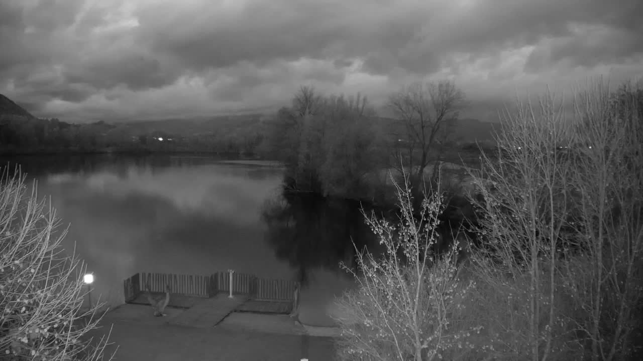 Web kamera Ribnik Vrbje – Žalec