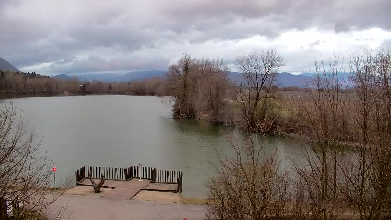 Webcam Ribnik Vrbje – Žalec