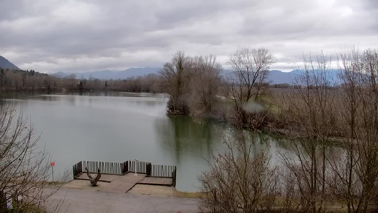 Webcam Ribnik Vrbje – Žalec