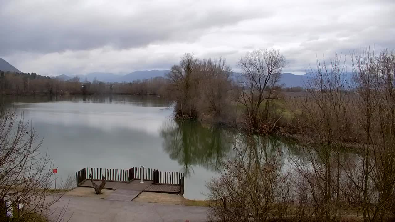 Spletna kamera Ribnik Vrbje – Žalec