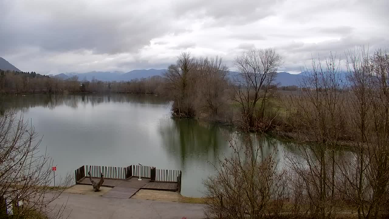 Spletna kamera Ribnik Vrbje – Žalec