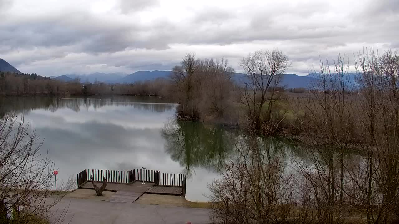 Web kamera Ribnik Vrbje – Žalec