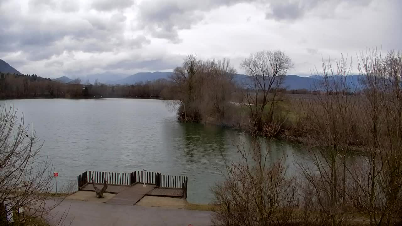 Webcam Ribnik Vrbje – Žalec