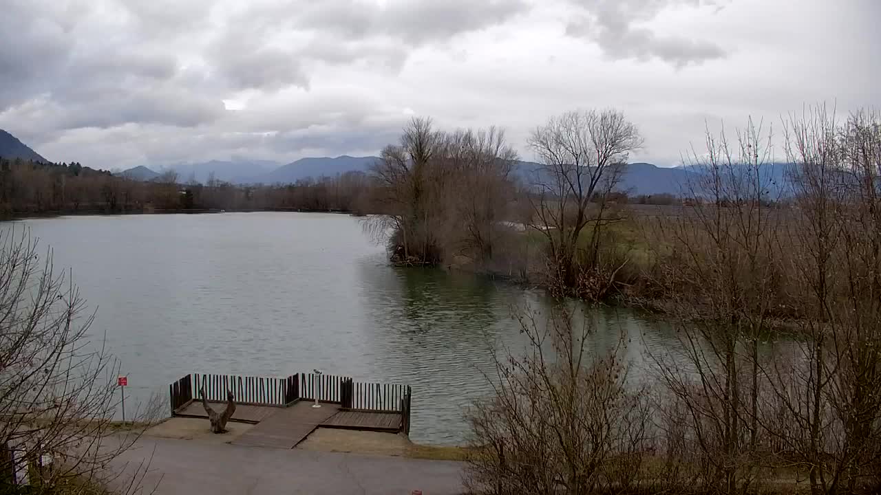 Webcam Ribnik Vrbje – Žalec