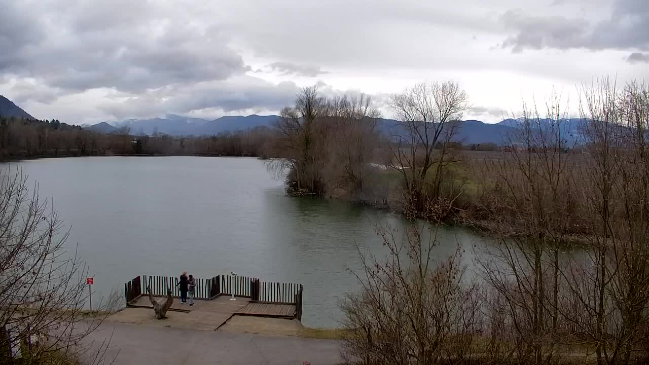 Webcam Ribnik Vrbje – Žalec