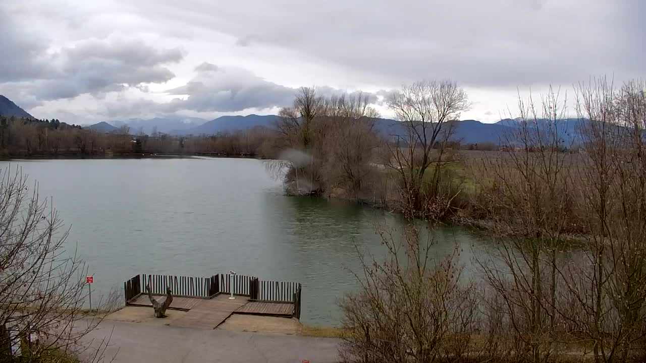 Webcam Ribnik Vrbje – Žalec