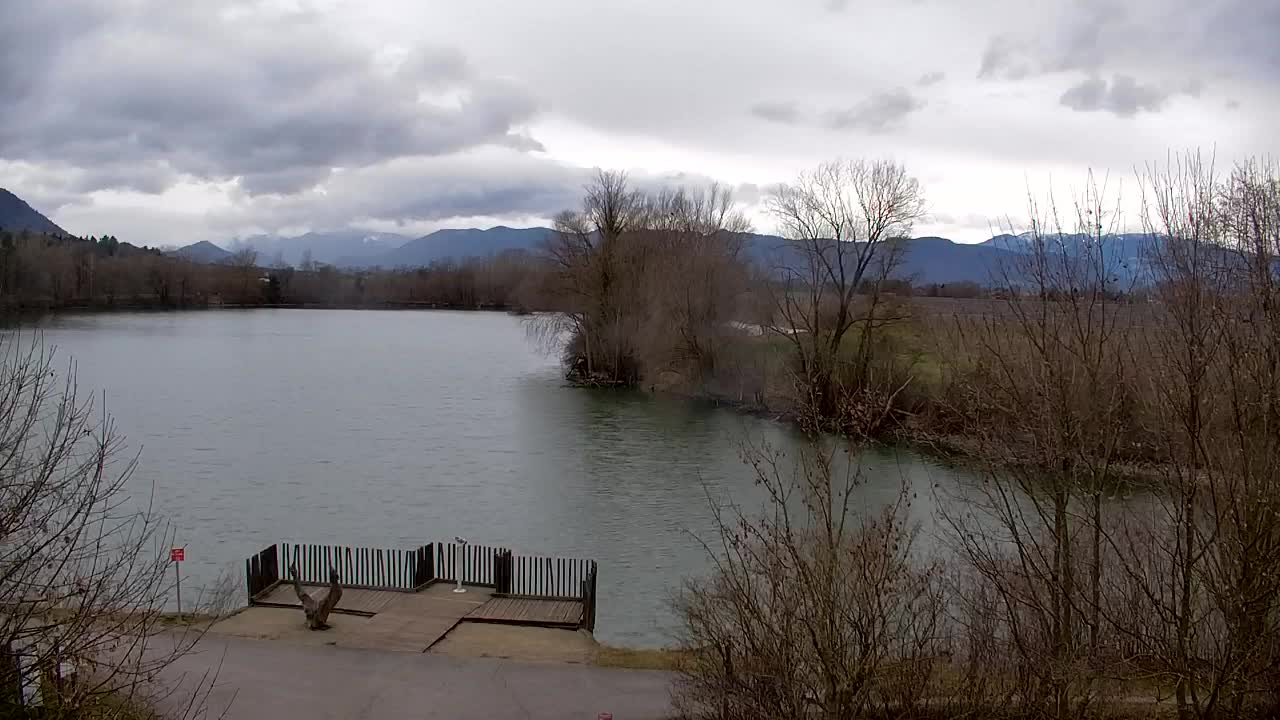 Webcam Ribnik Vrbje – Žalec