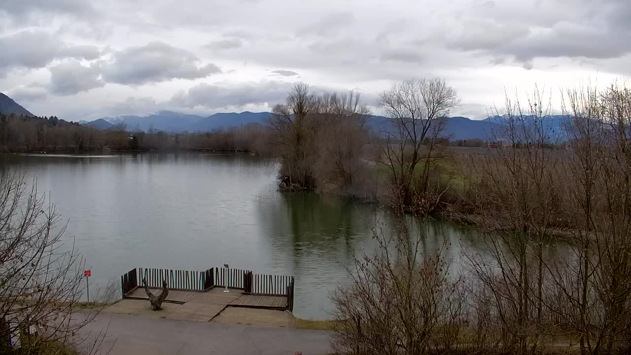 Spletna kamera Ribnik Vrbje – Žalec