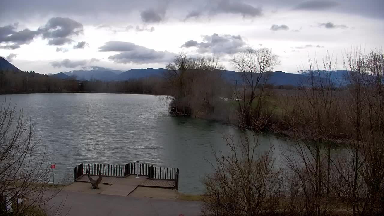 Webcam Ribnik Vrbje – Žalec