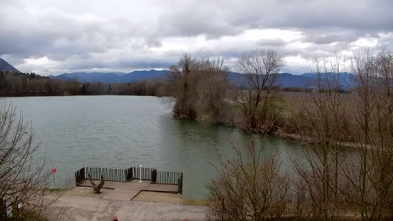 Webcam Ribnik Vrbje – Žalec