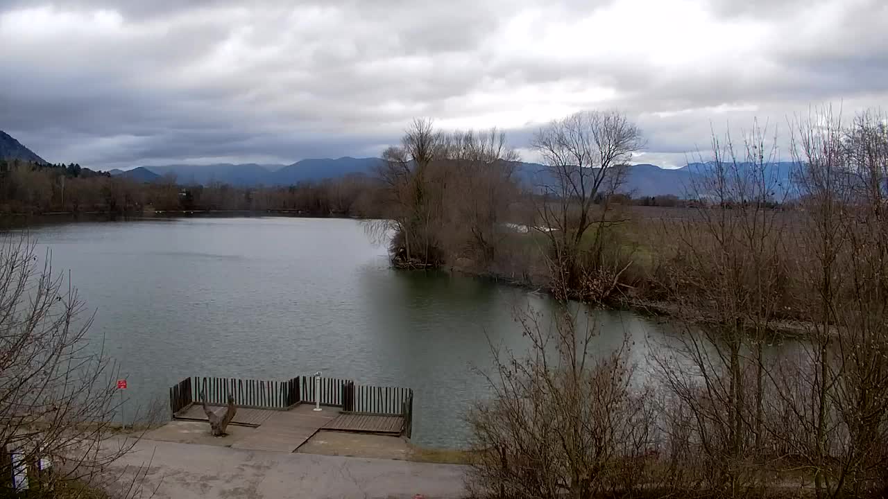 Webcam Ribnik Vrbje – Žalec