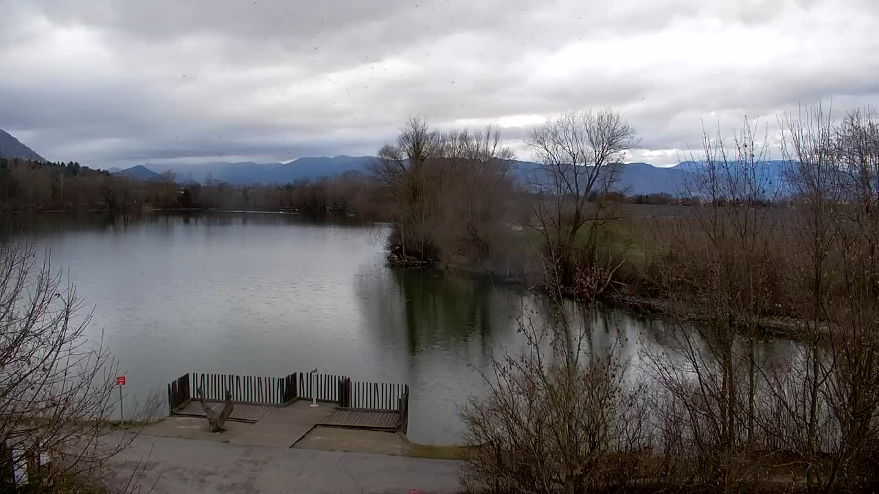 Webcam Ribnik Vrbje – Žalec