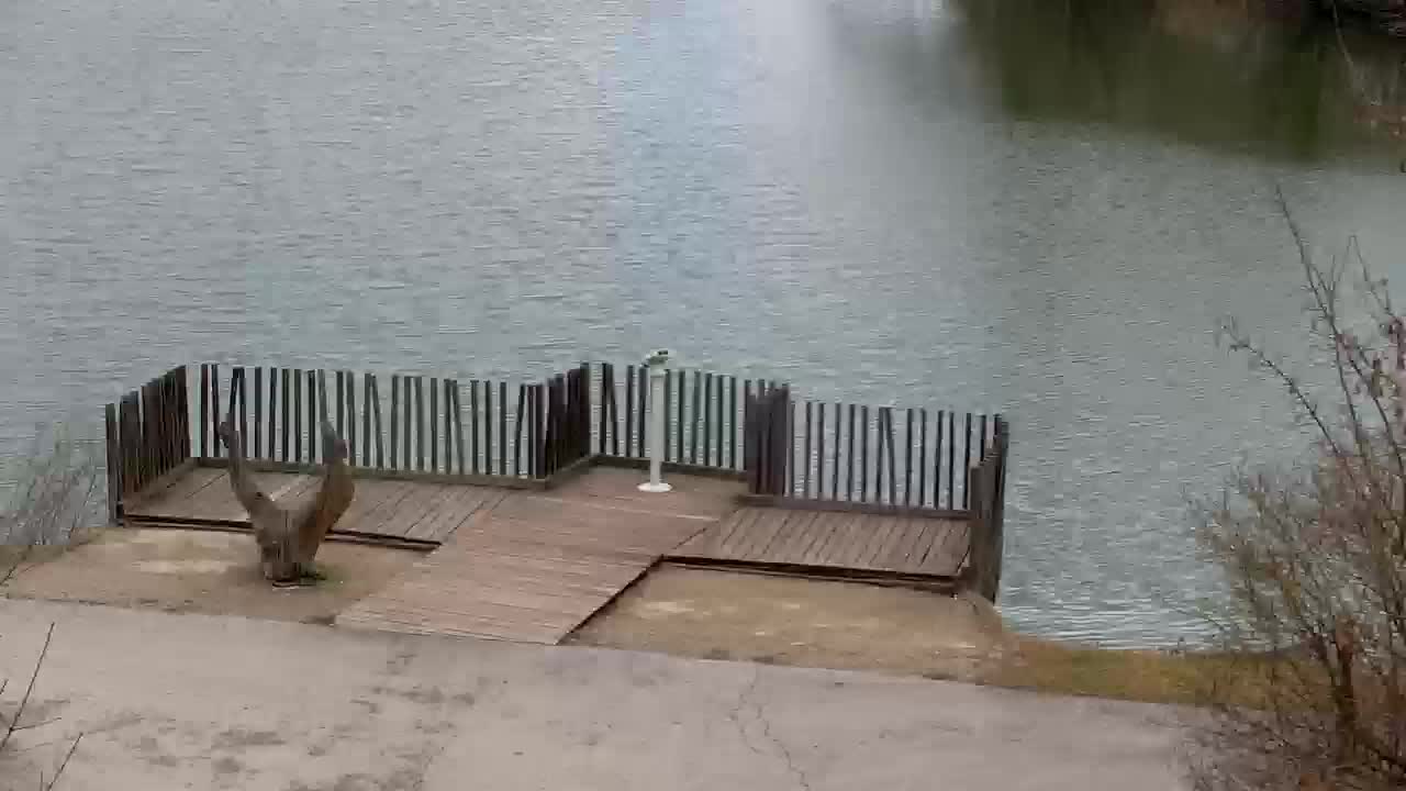 Webcam Ribnik Vrbje – Žalec