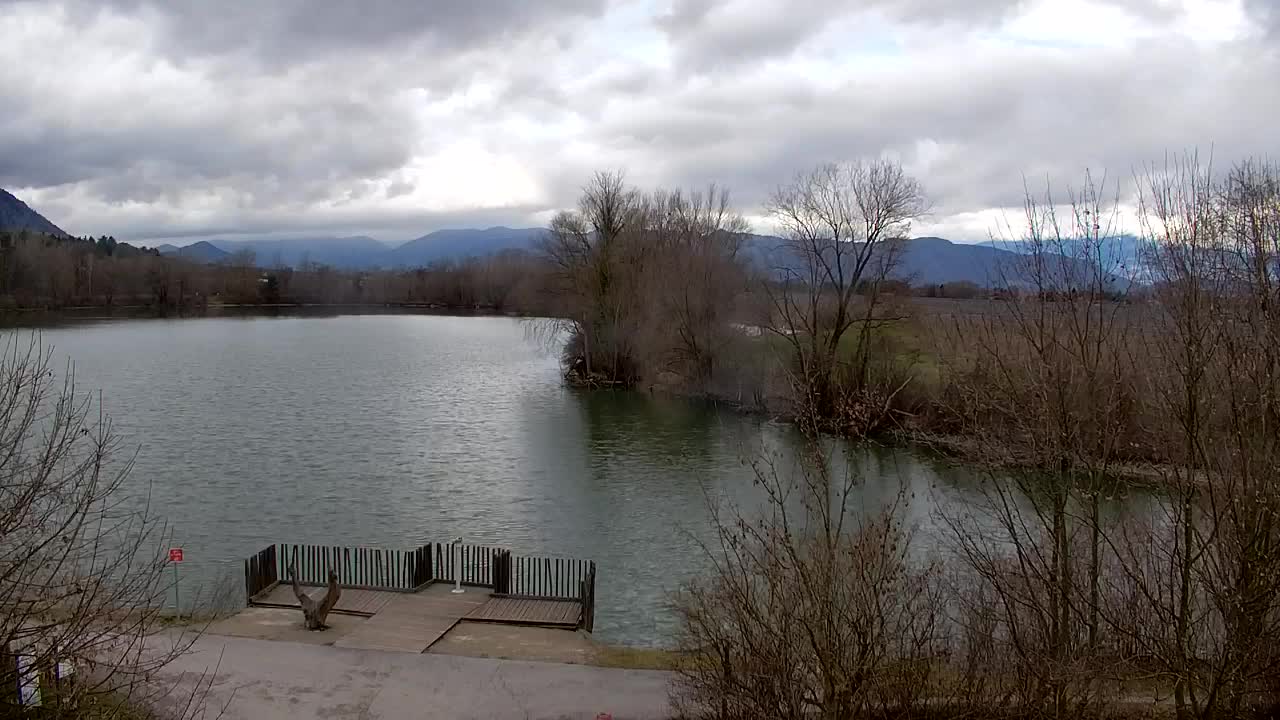 Webcam Ribnik Vrbje – Žalec