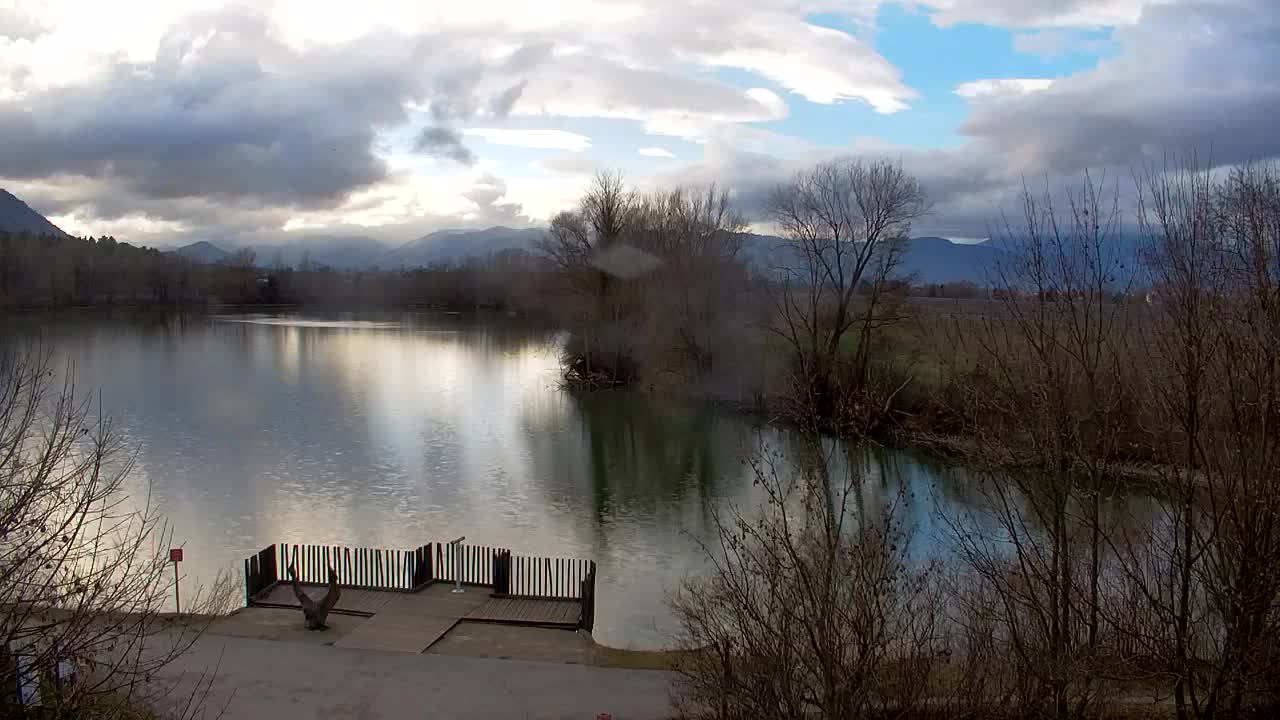 Spletna kamera Ribnik Vrbje – Žalec