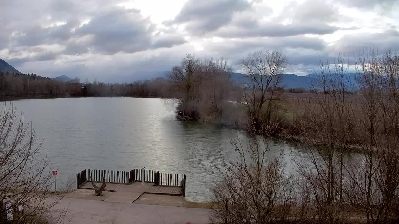 Webcam Ribnik Vrbje – Žalec