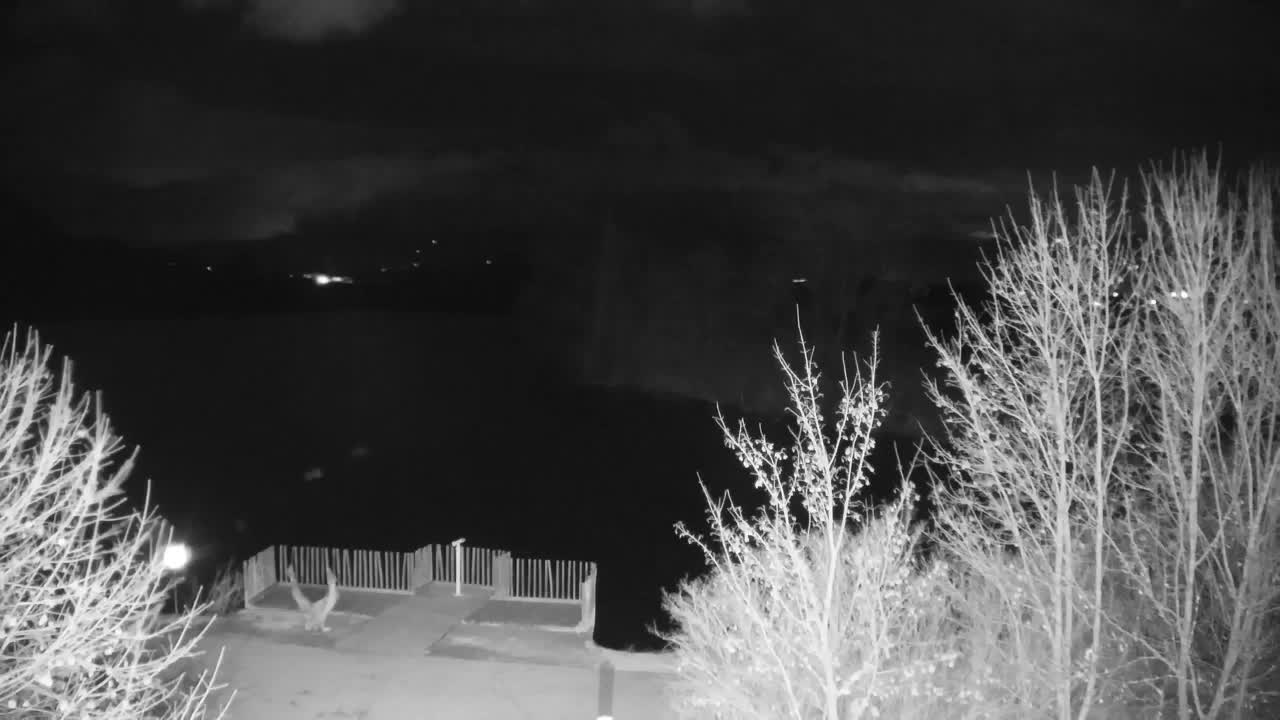 Webcam Ribnik Vrbje – Žalec