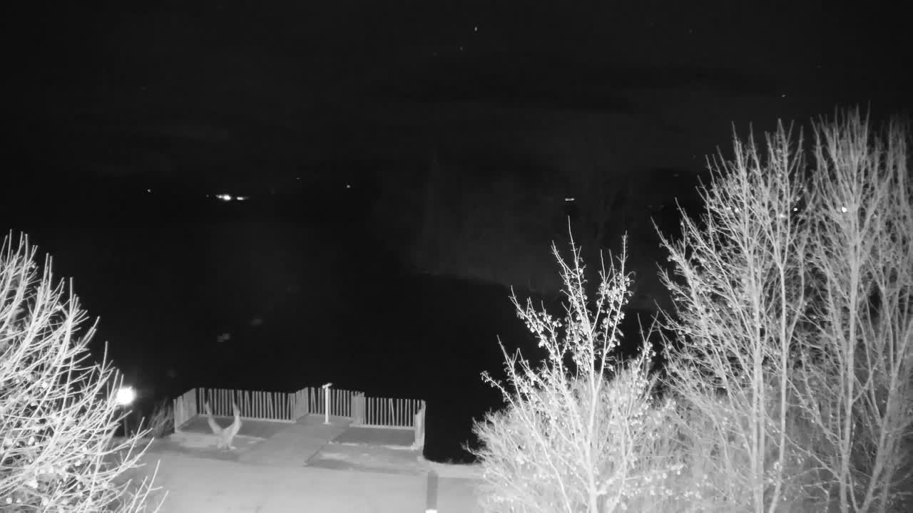 Webcam Ribnik Vrbje – Žalec