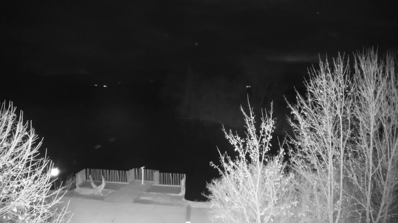 Webcam Ribnik Vrbje – Žalec