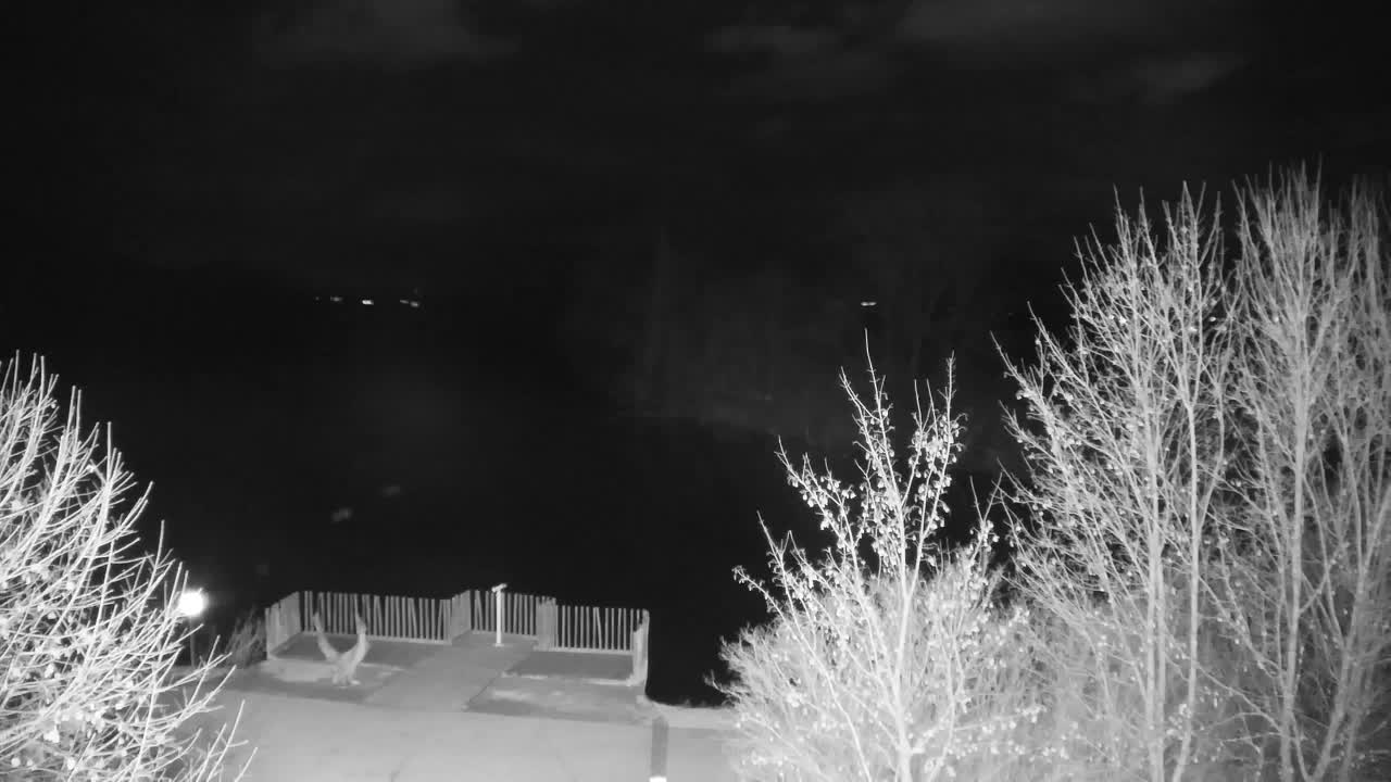 Webcam Ribnik Vrbje – Žalec