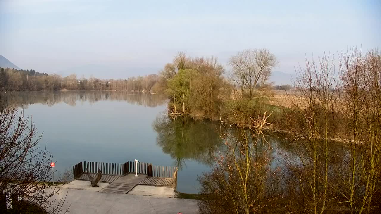 Webcam Ribnik Vrbje – Žalec