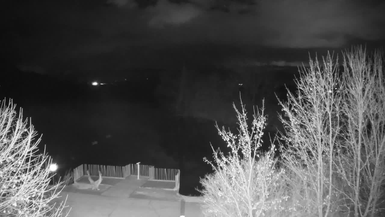 Webcam Ribnik Vrbje – Žalec