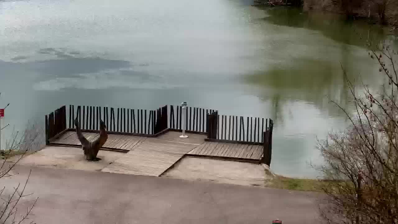 Webcam Ribnik Vrbje – Žalec