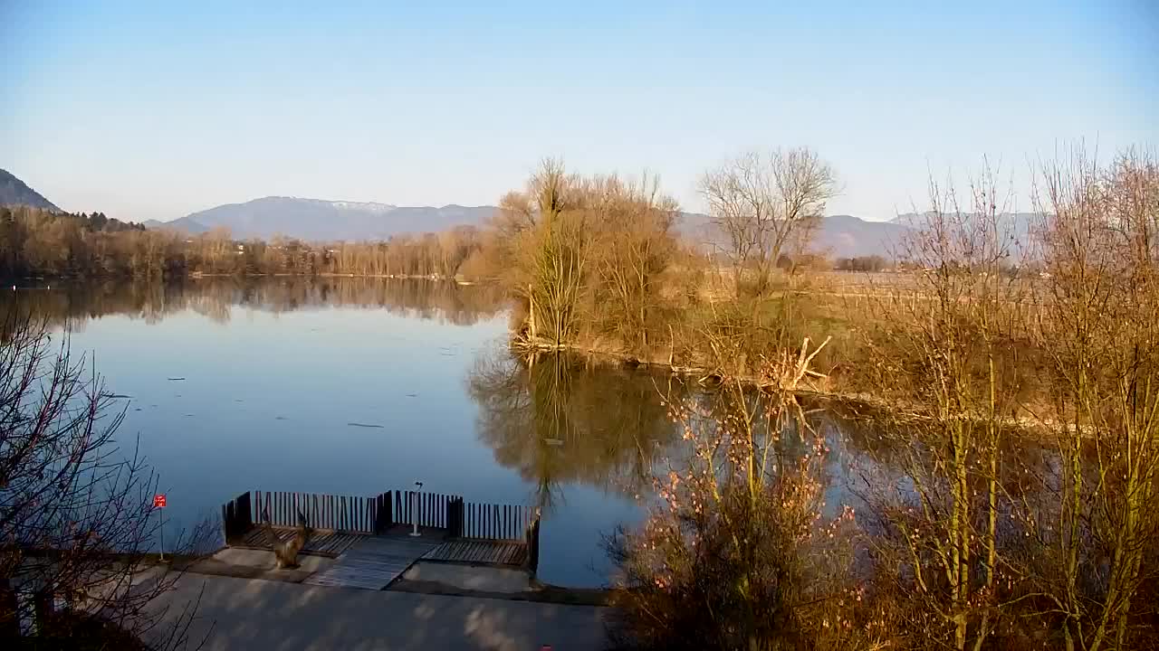 Web kamera Ribnik Vrbje – Žalec